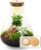 urbanjngl – Bottle Garden Complete Set Sam Coffea with LED Corks – Closed Plant Terrarium – DIY Set, Plant in Glass – Diameter 24.5 cm, Height 30 cm