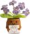 Gifts for Women, Girlfriend, Gifts for Mum, for Sisters, Forget My Not Gifts for Women, Inspirational Gifts for Girlfriend, Sister, Colleague, Wife, Aunt and Mother