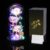 Touloube Gifts for Women, Infinity Roses in Glass with Light, Beauty and the Beast Rose Galaxy Rose Flower Gift, Beautiful Gifts for Mum, Grandma, Women, Birthday