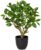 Briful 43 cm Artificial Plant Like Real Artificial Ficus Plants in Black Pot Decorative Plant for Windowsill Living Room Bathroom Decoration