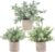 Der Rose Pack of 3 Artificial Plants Like Real Eucalyptus Plants Fake Plants for Decoration Living Room Bedroom Room Wall Decoration Bathroom Decoration (Grey)