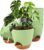 6 Packs Flower Pot, Plant Pot, Self-Watering 15.2 cm, with Brown Saucer, Watering Opening, Cotton Cord, Suitable for Indoor and Outdoor Gardens