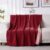 QIYI Waterproof Blanket for Bed Sofa Couch 102x153cm Burgundy Pink