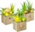 Set of 3 Artificial Plants with LED in Wooden Box, Plastic Plants Succulents Like Real Artificial Plant in Pot, Decorative Fake Plants for Living Room, Bathroom, Windowsill, Indoor