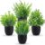 Der Rose Pack of 4 Artificial Plants Like Real Artificial Plants Small for Living Room Table Office Kitchen and Bathroom Decoration