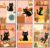 Paint by Numbers Adult Set, 6 Pieces, Black Cat Painting Set, 20 x 30 cm