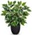 Hollyone Artificial Plants Like Real Ficus 40 cm Artificial Ficus Plants in Pot Green Plant Decorative Indoor Plant for Windowsill Living Room Bathroom Table Decoration Light Green