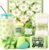Gift Set for Women, Green, Small Time Out Gift