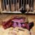 Wander Tasting Package – South Tyrolean Specialities Package – Bacon, Salami, Kaminwurzen Handcrafted & Traditionally Refined