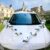 Wedding Car Decoration, White Wedding Decoration, Car Decoration with 11 Roses & Garland, Car Jewellery with Suction Cups and Length Bands, Bridal Car Decoration for Bonnet Party