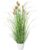 Artificial Grass in White Pot 60 cm with Real Dried Fronds I Artificial Goat Grass in Pot I Decorative Reed Grass for Indoor I High-Quality & Decorative Artificial Plant