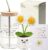 Gift Set for Women – 500 ml Glass Drinking Cup with Crochet Flower, Greeting Card & Gift Box – Loving Gift for Girlfriend & Memorable Surprise