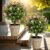 Artificial Plant 50 cm High Artificial Pink Tea Blossom Shrubs, UV Protection for Indoor and Outdoor Use, Office, Living Room, Bedroom and Garden, Modern Decoration, Pack of 2