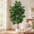 Artificial Plant Fiddle Ficus Tree 180 cm, Artificial Plants Large with White Pot and Decorative Pebbles, Artificial Plants Like Real for Decoration of Offices, Living Rooms and Bedrooms