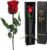 Yamonic Eternal Rose Gifts for Women, Infinity Rose with Stem, Birthday Gift Women, Real Rose in Gift Box, Gifts for Mum, Preserved Flower Gift, Valentine’s Day, Christmas, Red Rose