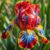 High-quality decoration, exclusive gift art, design chic, versatile, 8Iris-a