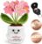 Giftota Thank You Gift for Teachers – Pocket Hug Forget Me Not