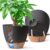 T4U Self-Watering Pot 25 cm Set of 2 Flower Pot for Balcony, Black