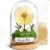inyeskon Wish filler with LED light, real dandelion in glass, eternal birthday gift for women, girlfriend, girls, gifts for birthday, wedding, youth dedication, Christmas, Valentine’s Day