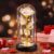 Otlonpe Flower Gifts for Women, Mother’s Day Gifts for Mum, Birthday Gift for Women, Mum, Girlfriend, Grandma, Eternal Rose in Glass with LED Light, Mother’s Day Gift for Mum Grandma (Rainbow)