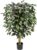 Artificial Tree Ficus Benjamini Artificial Plant Tree Artificial Plant Large with Real Wood Trunk Ideal for Interior Decoration Green Red