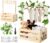 Baby Shower Gift with Wood, Practical Baby Storage Basket with 6 Wooden Hooks & Artificial Flower Garland, Gift Set for Baby Shower and Baby Shower