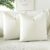 JOTOM Velvet Cushion Cover, Sofa Cushion Cover, Decorative Cushion Covers for Sofa, Living Room, Bedroom, Set of 2, 50 x 50 cm, Beige
