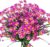 Artificial Flowers, Pack of 4 Artificial Flowers, Green, UV-Resistant Plants, Shrubs, Fake Flowers, Indoor, Outdoor, for Home, Garden, Bridal, Wedding, Party Decor (Fuchsia)