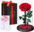 Premium Eternal Rose in Glass with Gift Box, Real Preserved Flower Handmade for 5 Years, Unique Gift for Wife, Mum, Grandma as a Token of Love for Valentine’s Day, Mother’s Day, Christmas