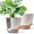 T4U Self-Watering Pot, 25 cm, Set of 2, Flower Pot with Water Indicator