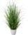 Large Artificial Grass Bush 75 cm in White Plastic Pot I Lifelike Decorative Grass in Pot White I Decorative Grass for Indoor I High-Quality Decorative Plant I Privacy Screen Decorative Artificial Plant