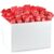 250 Refill Pack A Compliment for You Lucky Biscuits 250 Pieces Lucky Biscuits Advent Calendar Filling Lucky Biscuits for the Stand Up Pack Freshly Baked Vegan & Made in Germany