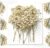 Schleierkraut Getrocknet Beige Gepresste Blumen Dried Flowers