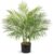 80 cm Artificial Plant Areka Palm Tree Artificial Plant Palm Tree in Pot Artificial Tree with 12 Trunks for Indoor and Outdoor Use Modern Decoration Bathroom Living Room Bedroom Balcony