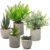 Pack of 5 Artificial Plants, Mini Artificial Plants Like Real with Pot for