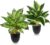 Pack of 2 Artificial Plants Like Real, 39 cm Artificial Plants in Pot, Table Decoration, Green Plants for Living Room, Office, Plastic Decorative Plant for Home Indoor (White Border +