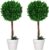HOMCOM Set of 2 Artificial Boxwood Large 60 cm Artificial Plant