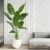 Artificial Bird of Paradise Plant, Faux Banana Leaf Tree for Home Decor, Artificial Plants, Large Indoor Floor Plant with 10 Stems (1, Black Planter, 180 cm)
