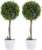 HOMCOM Artificial Lavender with UV Protection, Set of 2, 60 cm, Green