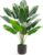Der Rose Artificial Plant Strelitzia Artificial 70 cm for Bathroom Office