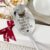 Personalised Stainless Steel Soup Spoon with Desired Engraving, Gift Packaging, Individual Gift for Dad, Mum, Grandma and Grandpa, Choice of Colours
