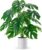 Der Rose Artificial Monstera Plant 70 cm in Boho Pot for Living Room Office