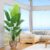 Artificial Bird of Paradise Plant 6ft Indoor Tall with 12 Stems – The Perfect Silk Floor Plant for Indoor Home Decoration in Living Room, Office and Bedroom (6ft