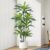 Dracaena Artificial Tree 180 cm Artificial Plants Dracaena Artificial Plants Large with Black Planter Artificial Plants Like Real for Indoor Home Living Room Decoration Bedroom Office (Pack of
