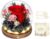 Eternal Rose in Glass Red with LED Infinity Rose Real Flower for Women