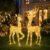 Set of 2 Reindeer Illuminated Outdoor Large Christmas Decoration Outdoor