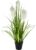 Artificial Pampas Grass in Pot, Feather Grass, Shore Grass, Silk Flowers, Grass Bush, Decorative Grass, Artificial Plants, Solitaire Grass, Pampas Grass, Artificial Flower, Artificial Grass, Green