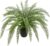 Oairse Artificial Plants Fern Plants Large Bonston Fern Decoration Modern Artificial Plants Plastic Plants Decoration for Living Room Balcony Bedroom Bathroom Room Table Decoration