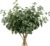 HNVNER 6 Bundles Artificial Eucalyptus Branches and Leaves – Realistic Green Plant for Wedding, Home Party, Decoration, Table Decoration, Flower Arrangement