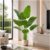 Artificial Bird of Paradise Plant, Faux Banana Leaf Tree for Home Decor, Artificial Plants, Large Indoor Floor Plant with 9 Stems (1, Black Planter, 150 cm)